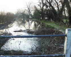 downstream of cerney wick in water - T&S Canal