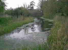 Siddington in water - T&S Canal